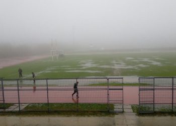 Cortada la carretera entre Gondomar y O Porriño, en Zamáns, por la caída de un árbol