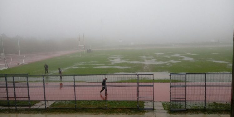 Cortada la carretera entre Gondomar y O Porriño, en Zamáns, por la caída de un árbol
