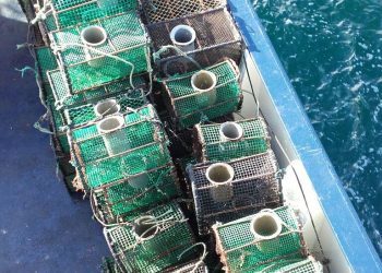 Os Gardacostas decomisan en Toralla marisco e nasas