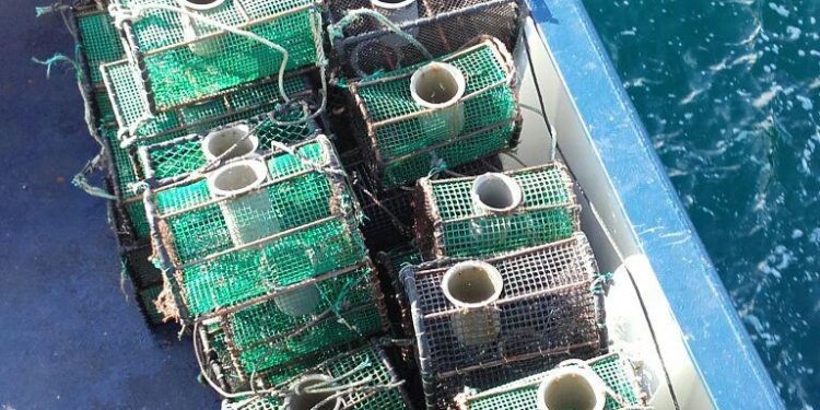 Os Gardacostas decomisan en Toralla marisco e nasas