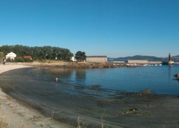 Decomisados 589 centolos de grandes dimensións en Alcabre