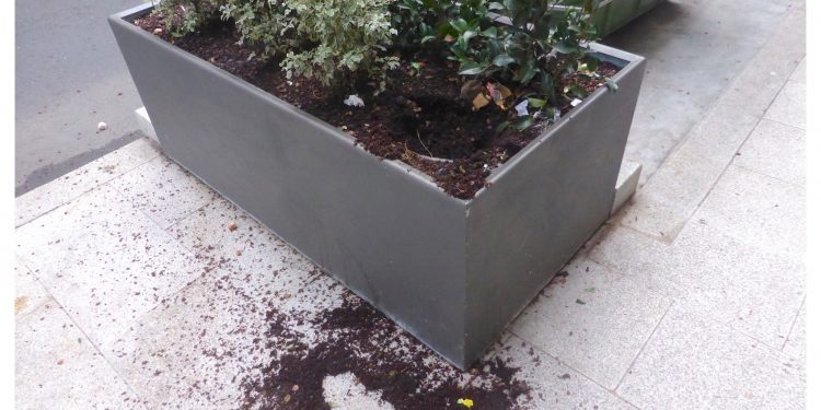 Nos roban las plantas