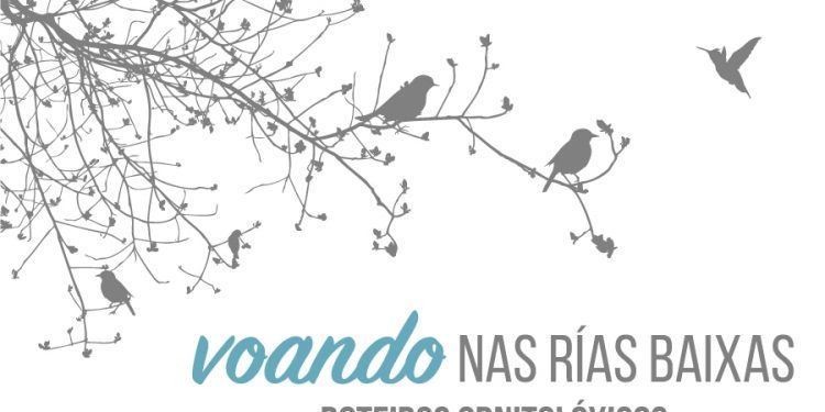 Esgotadas as prazas para a ruta ornitolóxica polo esteiro do Miño e a foz da Ramallosa