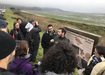 Ábrese a inscrición para a ruta ornitolóxica polo esteiro do Miño e a foz da Ramallosa