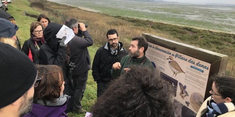 Ábrese a inscrición para a ruta ornitolóxica polo esteiro do Miño e a foz da Ramallosa