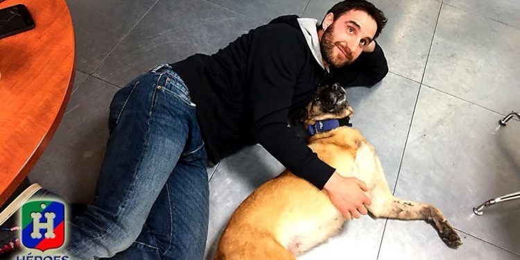 Buscan un hogar para ‘Vespa’, la perra de Protección Civil de Vigo maltratada