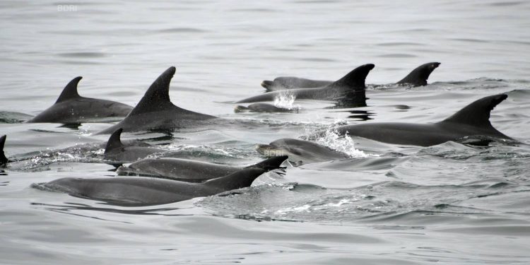 El CSIC inicia en Vigo el ciclo de seminarios científicos del primer semestre de 2018