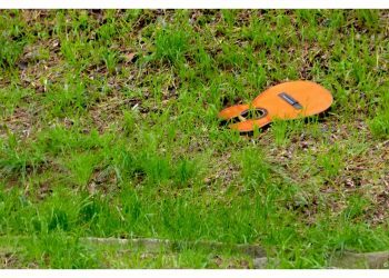 Lo que queda de una juerga