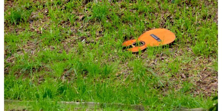 Lo que queda de una juerga