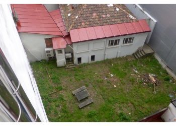 La pequeña huerta urbana