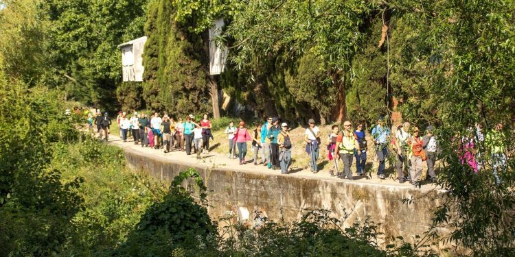 Camiño a Camiño, que comeza este domingo, diversifica a súa programación