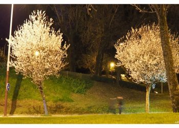 Espectro de invierno