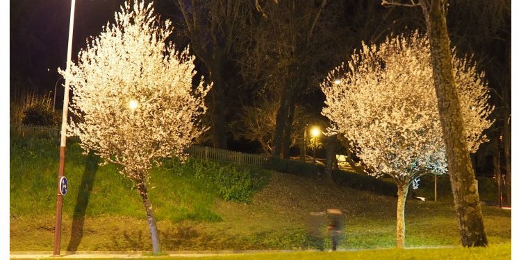 Espectro de invierno