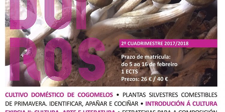 Abre a matrícula dos novos obradoiros da UVigo