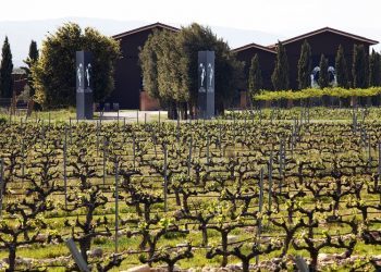 Terras Gauda desembarca en La Rioja con la compra de una bodega en Alfaro