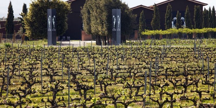 Terras Gauda desembarca en La Rioja con la compra de una bodega en Alfaro