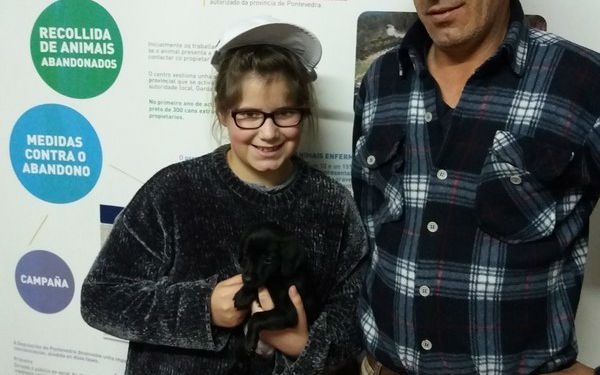 Biberón cada tres horas para tres cachorros abandonados ao nacer