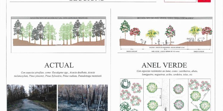 Un Anel Verde de 50 quilómetros rodeará Vigo para protexelo dos lumes