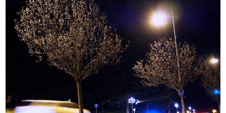 Luces en la noche viguesa