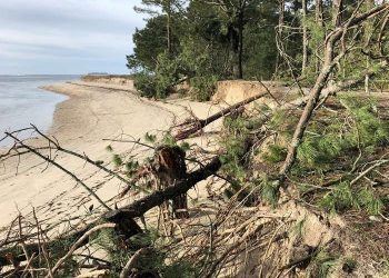 A Guarda urxe a tramitación de emerxencia no litoral da Lamiña e o Codesal