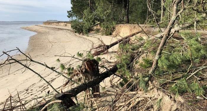 A Guarda urxe a tramitación de emerxencia no litoral da Lamiña e o Codesal