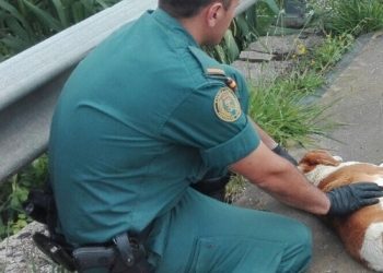 Investigan a un hombre en Mondariz por matar al perro de un vecino de un perdigonazo