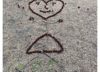 Estampas de invierno