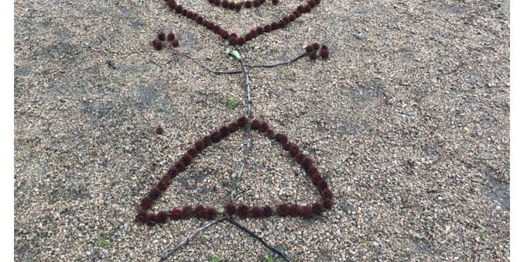 Estampas de invierno