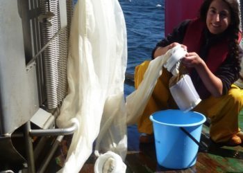 Una tesis del CSIC ofrece nuevos datos sobre las paralarvas de cefalópodos en la Ría de Vigo