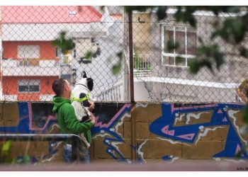 Ternura con el mejor amigo