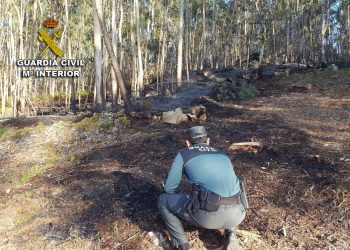 Investigan a un vecino de Baiona por un incendio forestal en Baredo