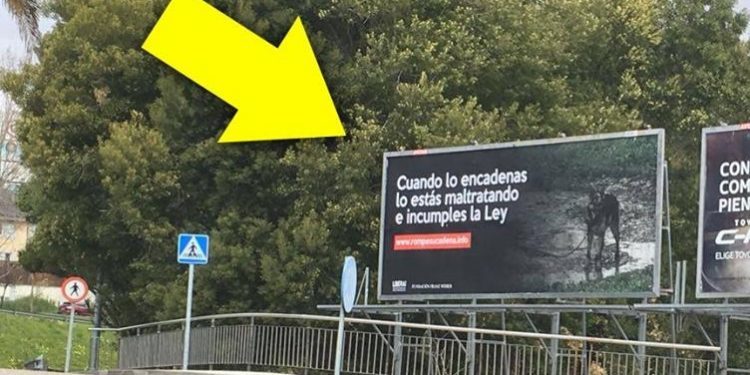 Vallas contra el encadenamiento «perpetuo» de animales en Vigo