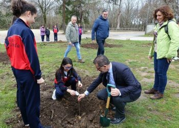 Vigo promove unha plantación de árbores no Vixiador con escolares