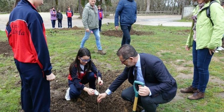 Vigo promove unha plantación de árbores no Vixiador con escolares
