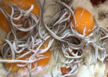 Todo lo que necesitas saber sobre las Angulas Roset