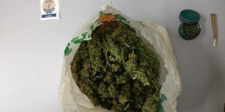 Cazado con cogollos de marihuana tras dar positivo al volante