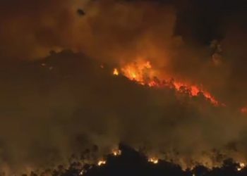 Dos detenidos por un incendio que se inició en Gondomar y acabó en Vigo