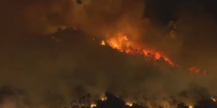 Dos detenidos por un incendio que se inició en Gondomar y acabó en Vigo