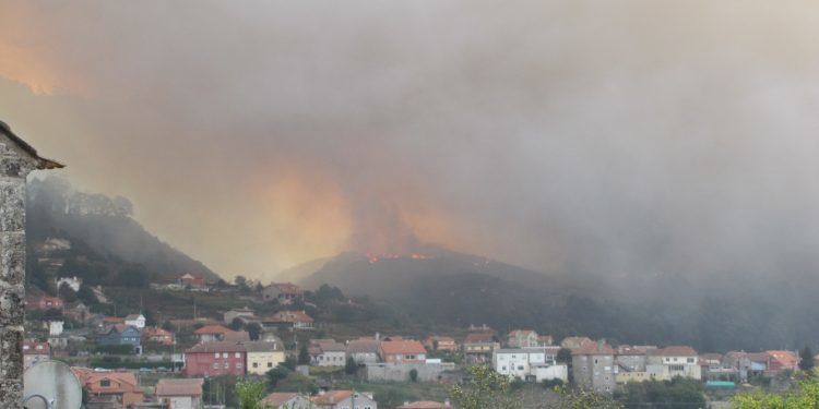 Inversión de 1,5 millones de euros para 8.877 hectáreas quemadas en octubre