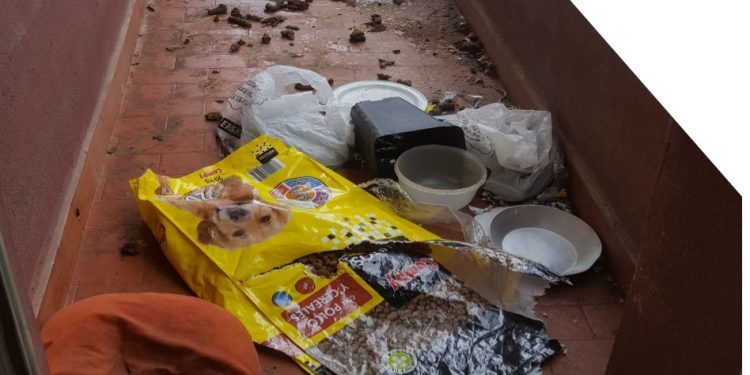 Denuncian al dueño de una perra en Travesía de Vigo por tenerla en medio de sus heces