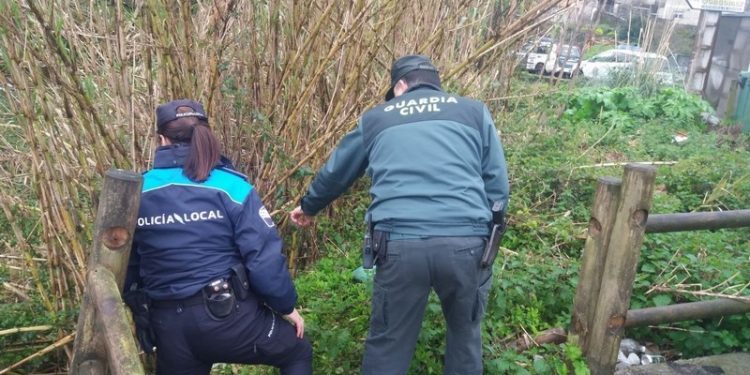 Rescatada una septuagenaria que se cayó por un barranco en Gondomar