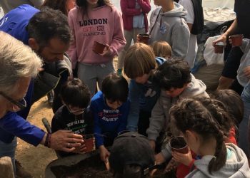 La cantera del Kaleido Universidade de Vigo reforesta los montes de Vigo