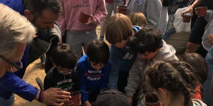 La cantera del Kaleido Universidade de Vigo reforesta los montes de Vigo