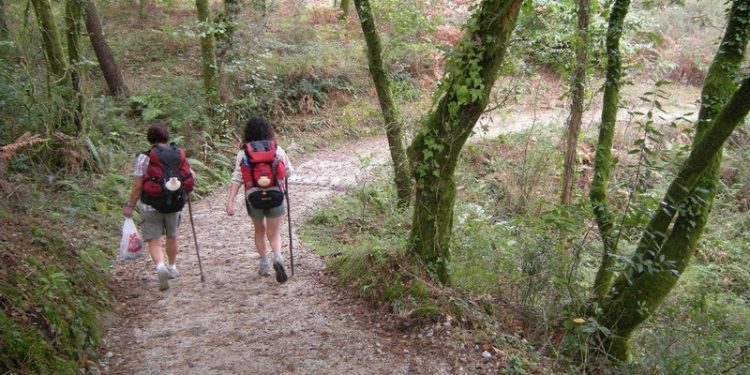 Roba el móvil a una peregrina coreana en Porriño y es localizado en Vigo con «Buscar mi iPhone»