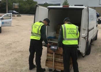 Incautada en Tomiño una partida de 150 kilos de erizo de mar sin documentar
