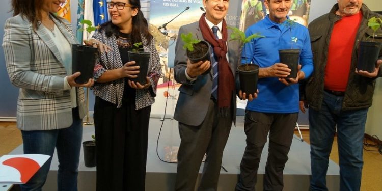 Catro percorridos, de entre 7 e 39 quilómetros, na V Andaina polos Montes de Vigo