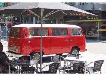 Para disfrutar del mundo