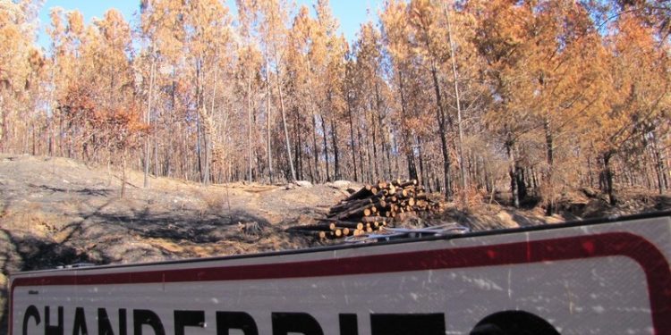 Carta ao presidente da Xunta dunha das vítimas de Chandebrito