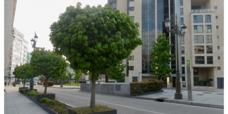 Una farola para cada lado