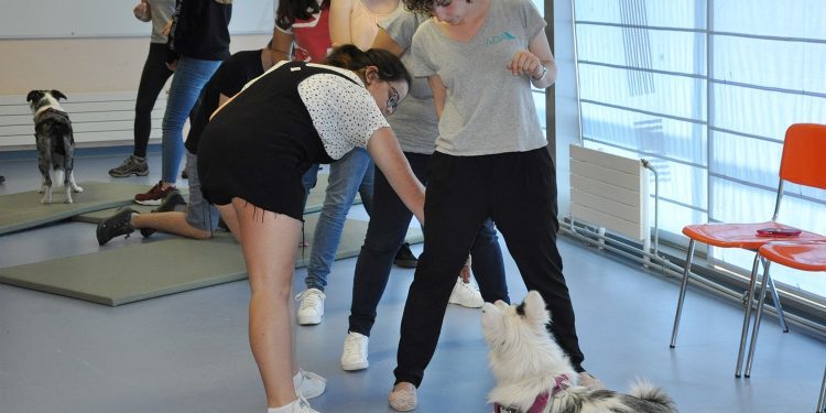 A compañía de ‘Ítaca’ e ‘Namaste’, a mellor estratexia contra estrés dos exames